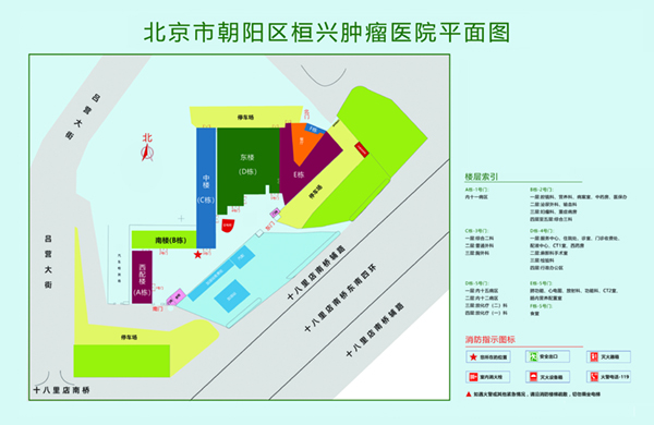 的爆操中出啊啊啊的北京市朝阳区桓兴肿瘤医院平面图